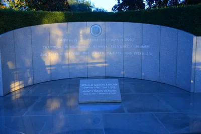 DSC_1158 (Large).JPG